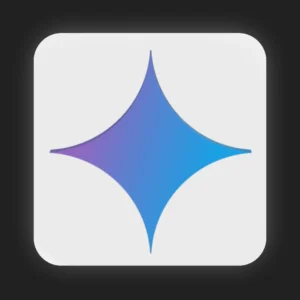 Gemini Pro 12 Months